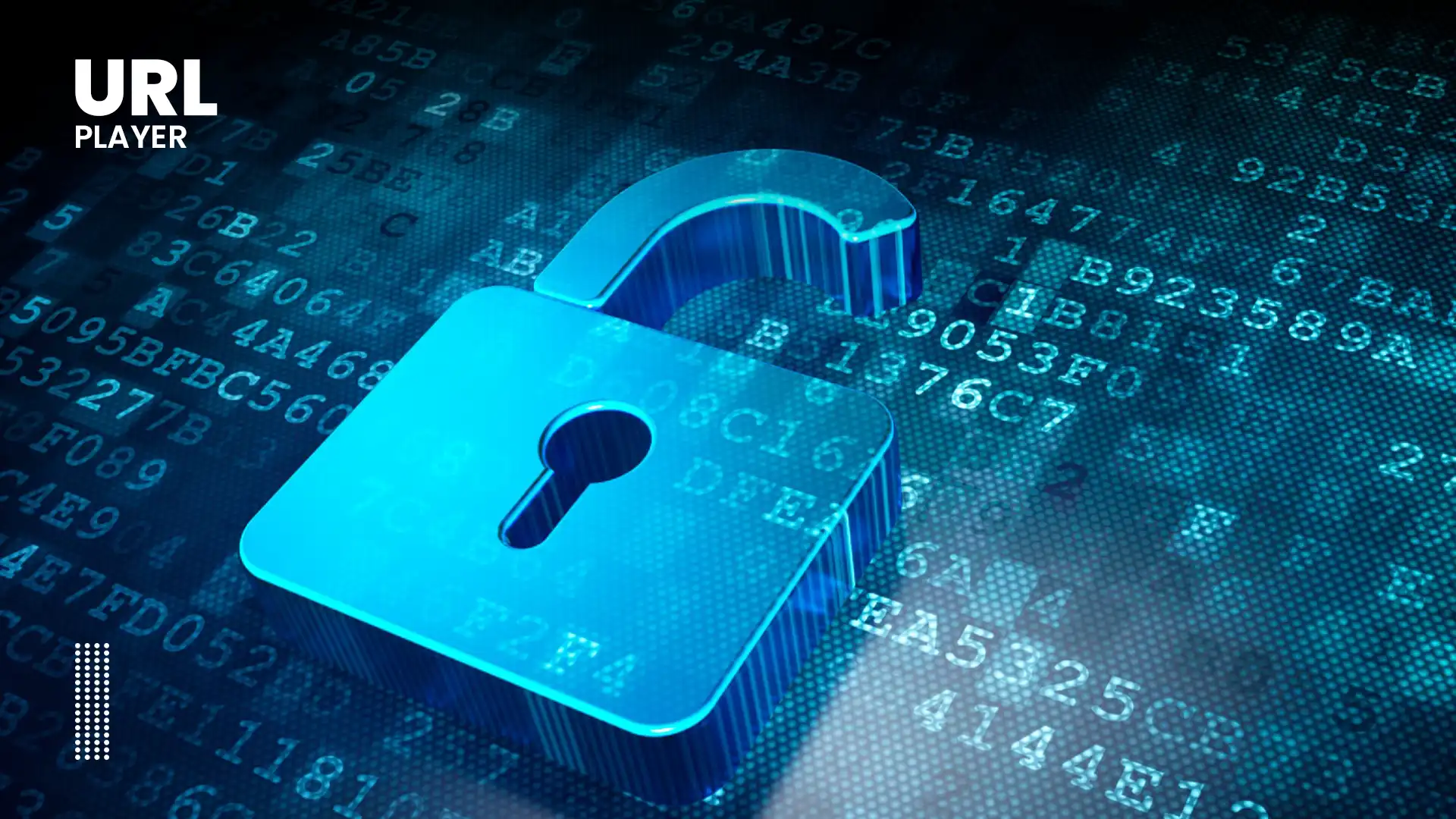 What Needs to Be Protected in DASH Streaming?