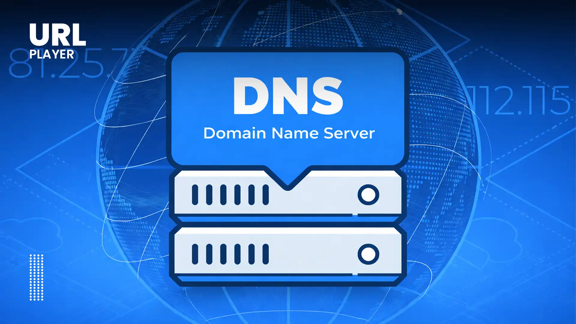 DNS Resolution & Network Connection