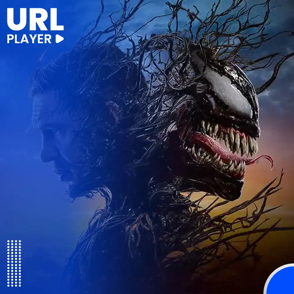 How Our MP4 Player Online Works