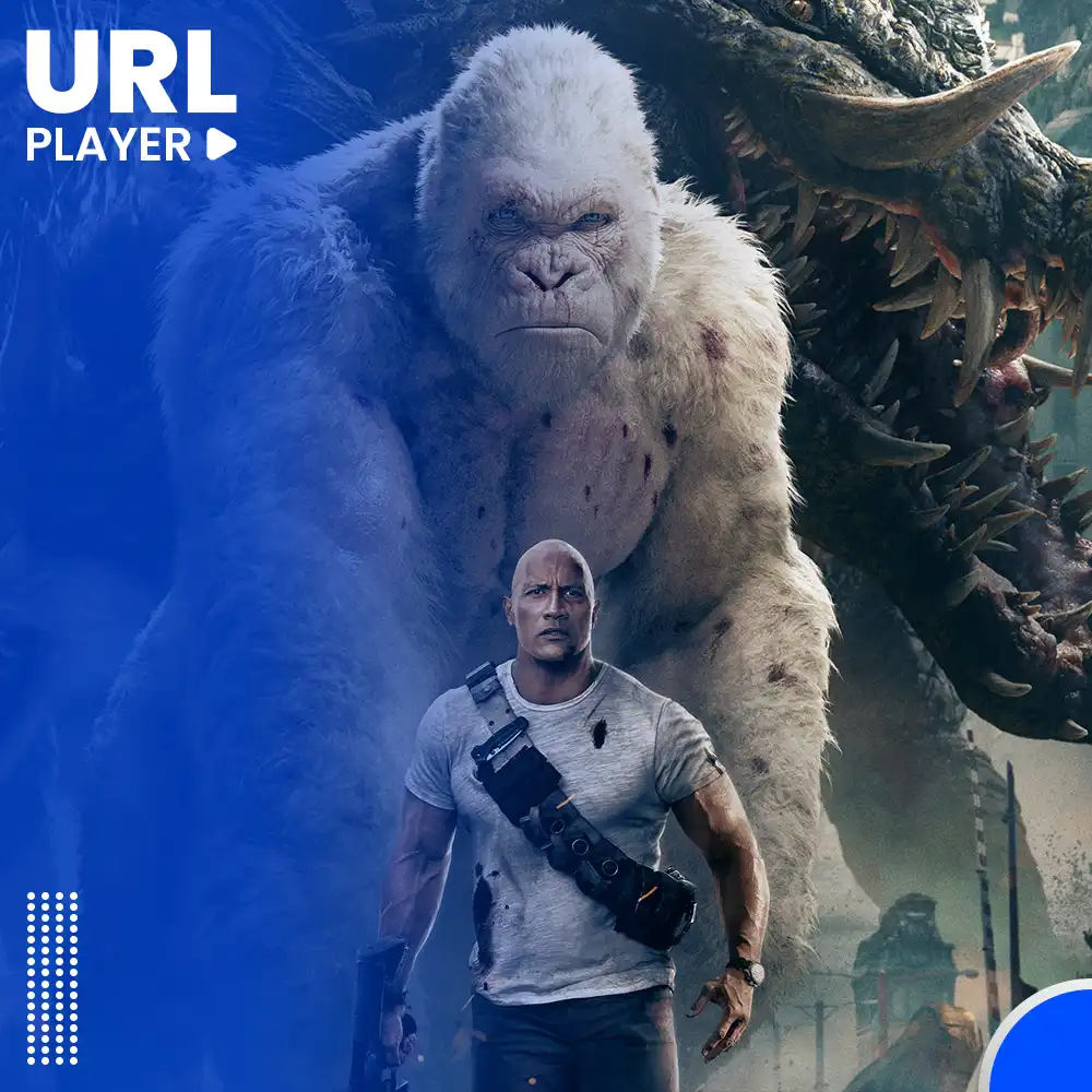 Play MP4 Files Online